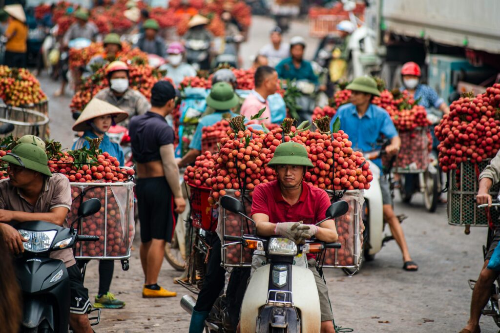 Vibrant scene of lychee season at Bac Giang, Vietnam, capturing the local market's energy.